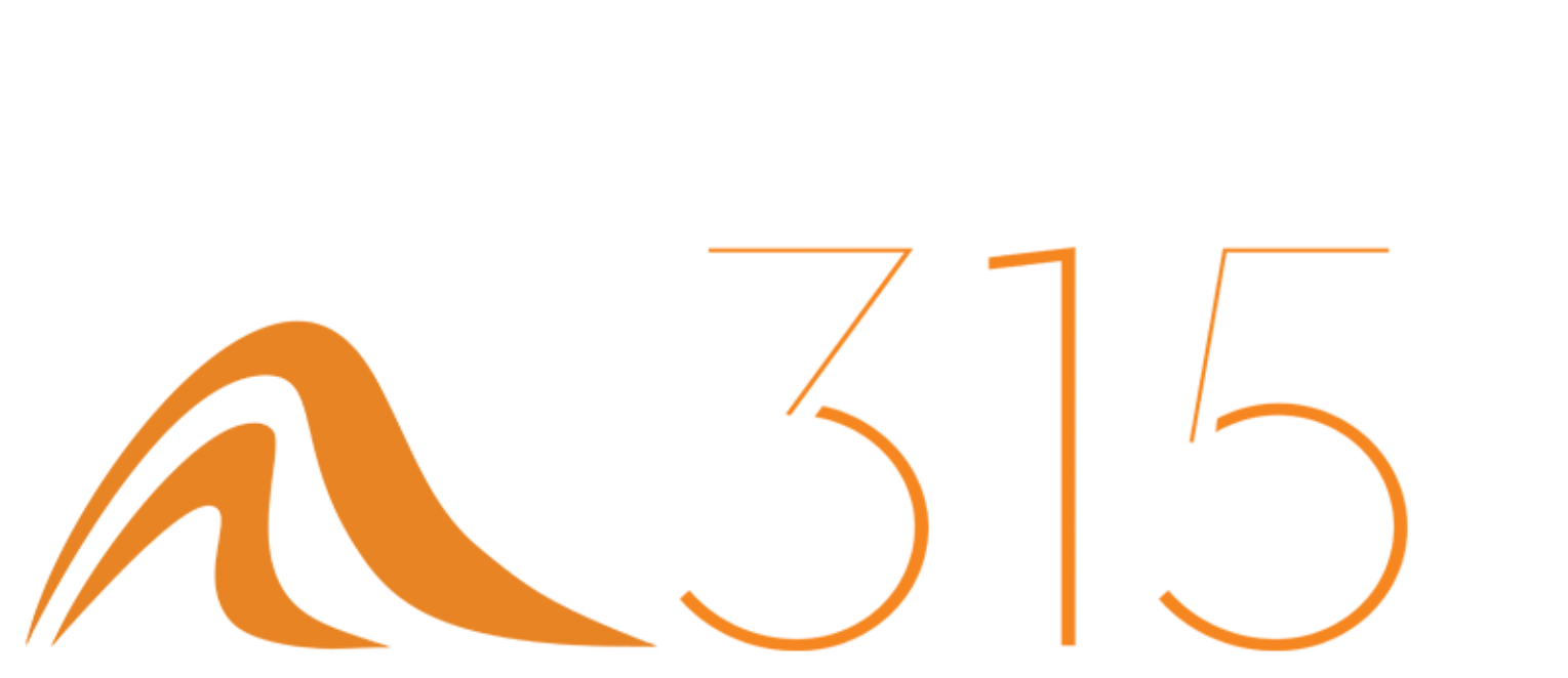 汉斯315
