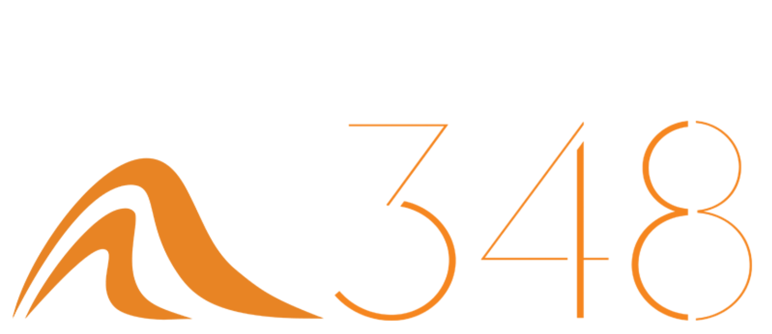 汉斯348