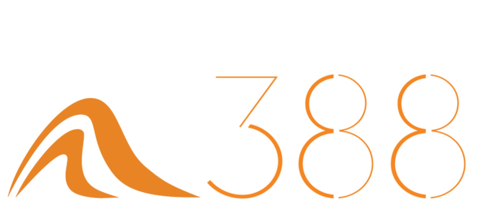 汉斯388