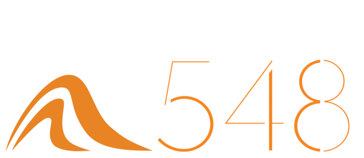 汉斯548