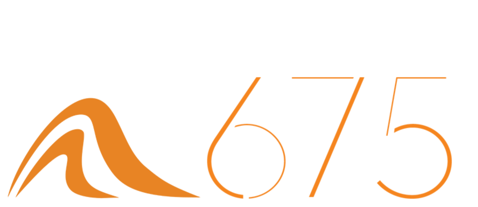 汉斯675